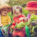 Fun Hobbies for Your Children