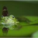 Essential pond cleaning tools that you can’t ignore