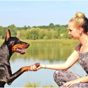 How to Choose a Dog Training Program