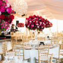 Mastering Memorable Moments: Why You Need an Expert Event Planner in Gold Coast
