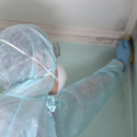 Certified Mold Inspector Training: Elevate Your Career with Specialized Knowledge