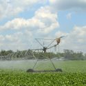 Retic Repairs: Ensuring Efficient Irrigation Systems in Perth