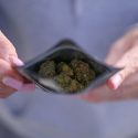 A Guide to Buying THC Products Online Safely and Legally